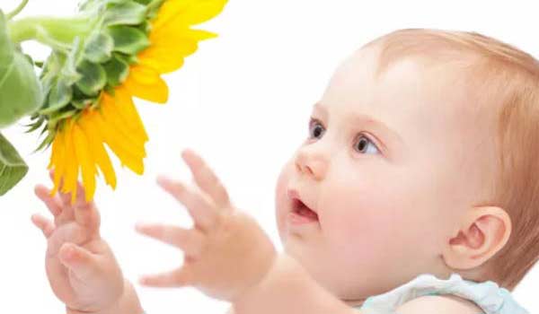 女孩取名 (17) 女孩取名 (17)