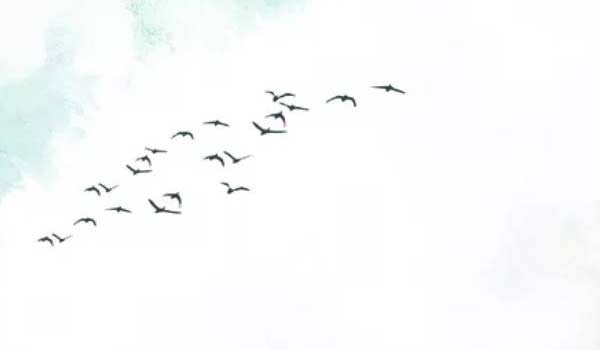 2020-03-25_182202 2020-03-25_182202